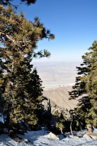 Look down on the route of the Palm Springs Aerial Tram.