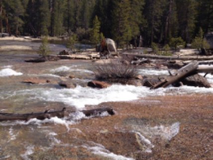 Rapids on the Lyell Fork.